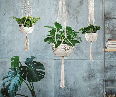 Macrame Plant Hangers