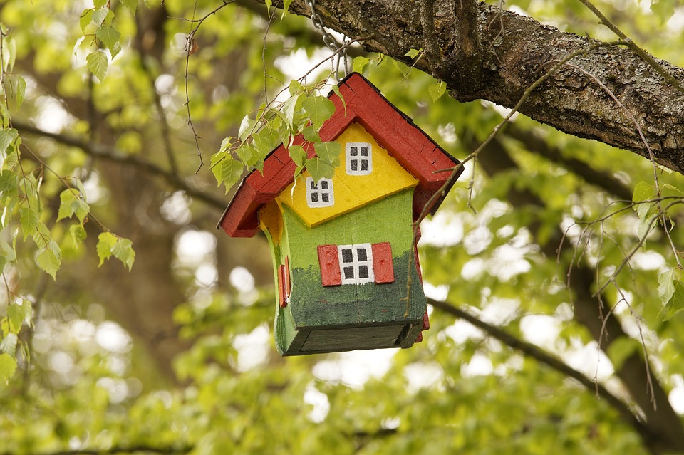 Bird Feeder House