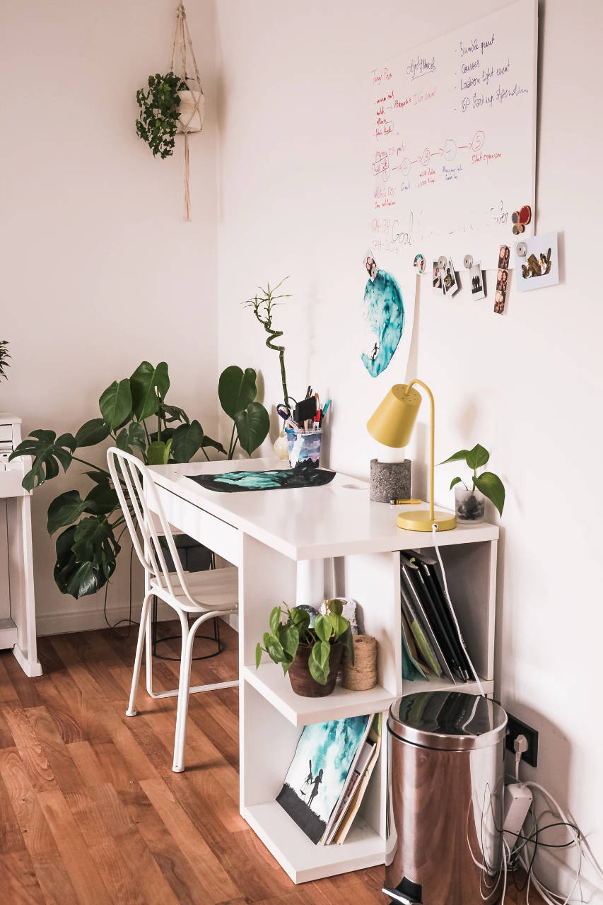 The bookshelf desk