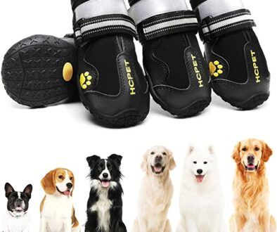 Dog Boots to Protect Their Paws